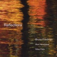 Bruce Friedman : Reflections