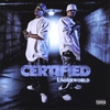 CERTIFIED: THE UNDERWORLD