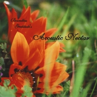 Boundless Gratitude : Acoustic Nectar
