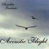 BOUNDLESS GRATITUDE: Acoustic Flight