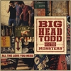 BIG HEAD TODD & THE MONSTERS: All the Love You Need