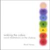 BAIRD HERSEY: "Waking the Cobra", Vocal Meditations on the Chakras