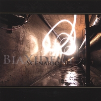 BIAXIDENT: BiaXident Scenario