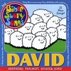 BIBLE STORYSONGS: David: Shepherd, Psalmist, Soldier, King!