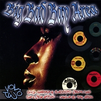 Various Artists : The Big Bad Bay Area Vol. 2