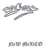 BIG CHINGS: NeW MeXiCO