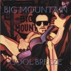 BIG MOUNTAIN: Cool Breeze