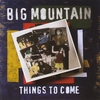 BIG MOUNTAIN: Things To Come