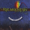 BIG MOUNTAIN: Versions Undercover