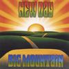 BIG MOUNTAIN: New Day