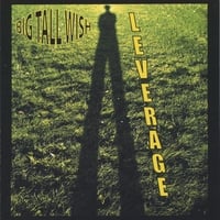 Leverage by Big Tall Wish