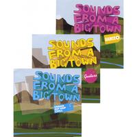 VARIOUS: Sounds From A Big Town