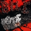 BILE: Hate Radio