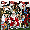 The Bilge Pumps: A Pirate