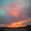 BILL BROWN JR.: Sanctified Creativity V.1 (instrumental)