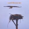BILL COOPER & BETTE KRON: Approach