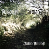 JOHN BILLING: Turlough O'Carolan