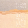 BILL MIZE: Sugarlands