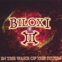 Biloxi : In the Wake of the Storm