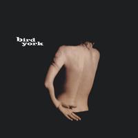 BIRD YORK: Bird York