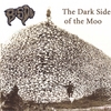 BISON: The Dark Side of the Moo