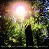 BLACK BAYOU CONSTRUKT: Kingdoms of Folly
