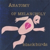BLACKBIRDS: Anatomy of Melancholy