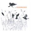 Blackbirds: Blackbirds