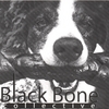 BLACK BONE COLLECTIVE: Black Bone Collective