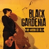 Black Gardenia: No Moon At All