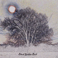 BLACK GOLDEN BULL: Black Golden Bull