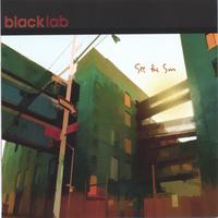 BLACK LAB: See the Sun
