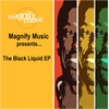 BLACK LIQUID: The Black Liquid EP