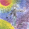 TOM BLACKMON & GEORGE HICKERSON: Lost In Space