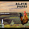 Black Popes: Broader Meadows