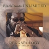BLACKROOTS UNLIMITED: REGGAEOLOGY - Chapter 1: Bass After Dark
