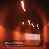Black Swan Lane: Things You Know and Love