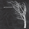THE BLACKTHORNS: The Blackthorns