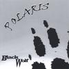 BLACK WOLF: polaris
