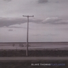 BLAKE THOMAS: Flatlands