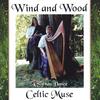 CELTIC MUSE: VALERIE BLESSLEY & JENNIFER PRATT-WALTER: Wind and Wood: A Sylvan Dance