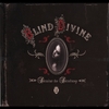 BLIND DIVINE: Desire To Destroy
