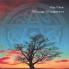 BLIP PILOT: Wiccan Wanderers