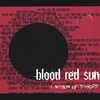 BLOOD RED SUN: A Nation Of Saviors