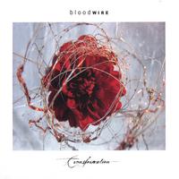 Bloodwire : Transformation