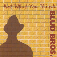Blud Bros : Not What You Think