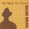 BLUD BROS: Not What You Think