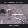 BLUEBERRY TRICYCLE: DOLLHEAD
