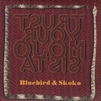 Bluebird & Skoko : Trust Your Mojo, Sista