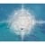 BLUE DIAMOND TECHNOLOGIES: Whales, Dolphins and Chakras